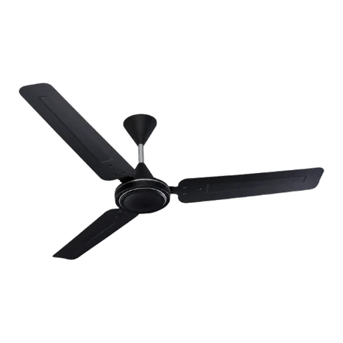 Cinni Champ 1200 mm ceiling fan in black finish